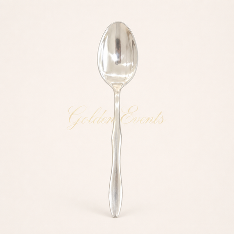 Silver Dinner Spoon