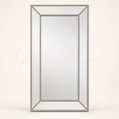 Champagne 32x77" Mirror Frame