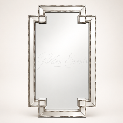 Silver 31x72" Mirror Frame