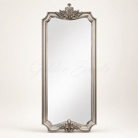Champagne 25x70" Mirror Frame