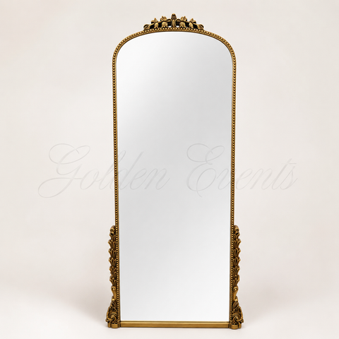 Gold Vintage 23x67" Mirror Frame