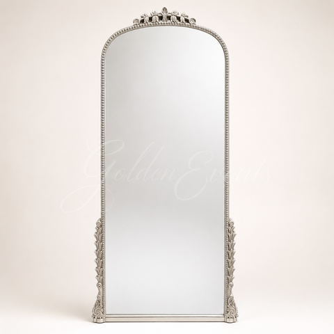 Silver Vintage 23x67" Mirror Frame