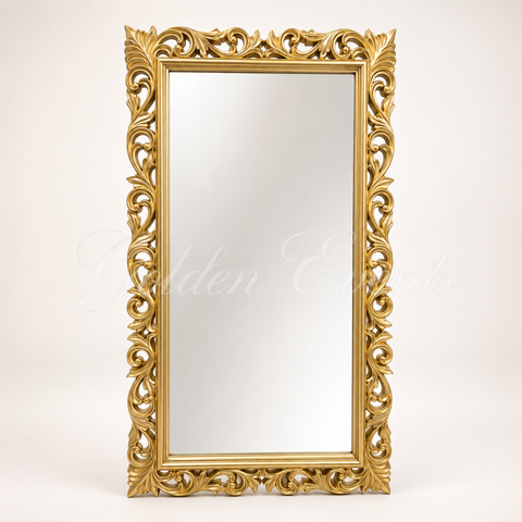 Gold Ornate Carved 30x69" Mirror Frame