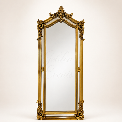 Gold Luxury Vintage 27x72" Mirror Frame