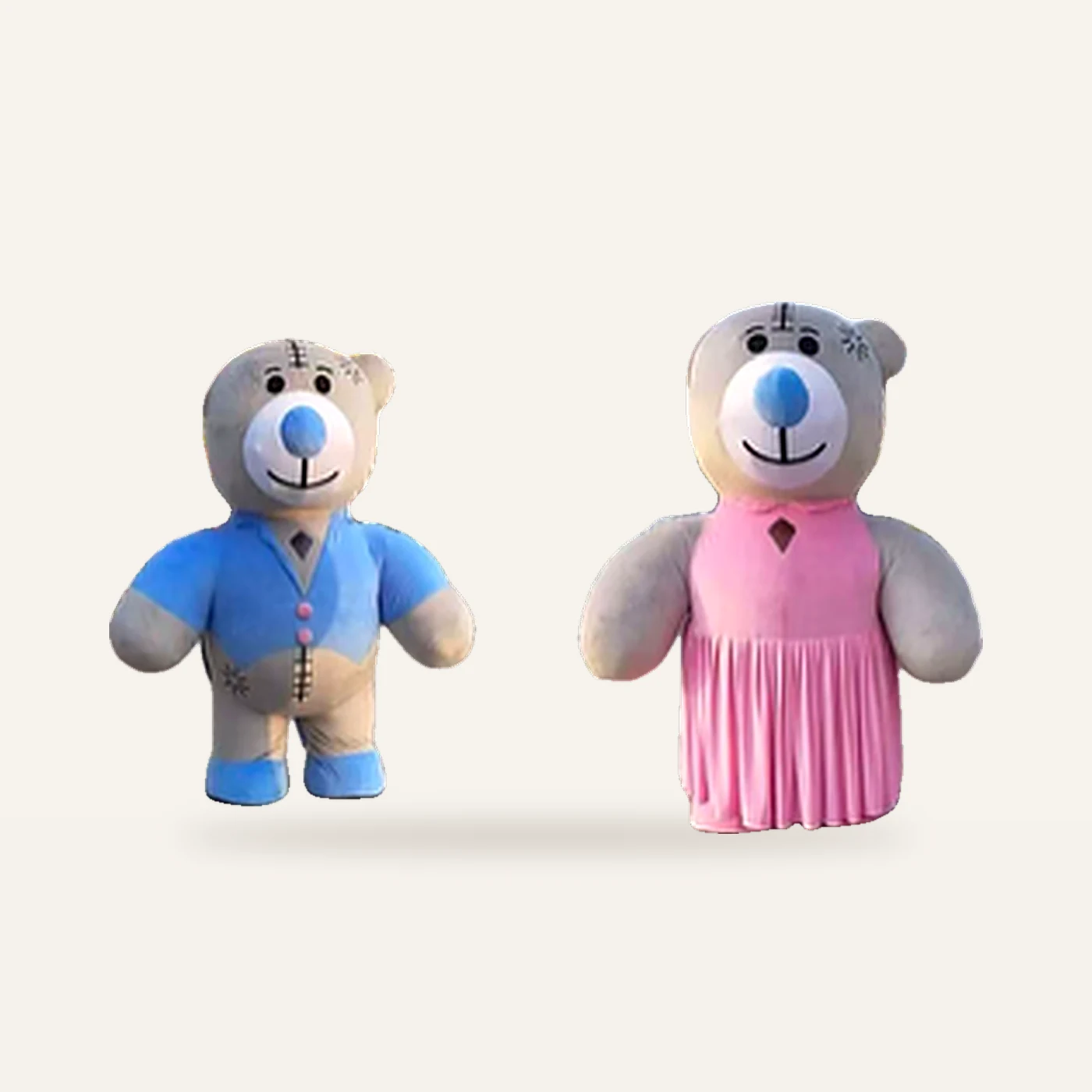 Teddy Bear Mascot Costumes (Boy & Girl)